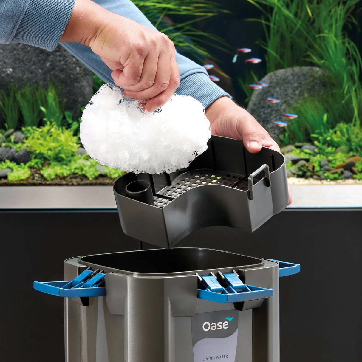 Oase Biomaster Thermo 350 Read Before You Buy!