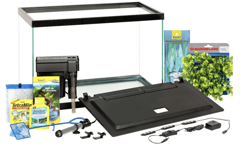 The Best 20 Gallon Fish Tank