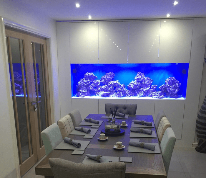 Built in Fish Tank