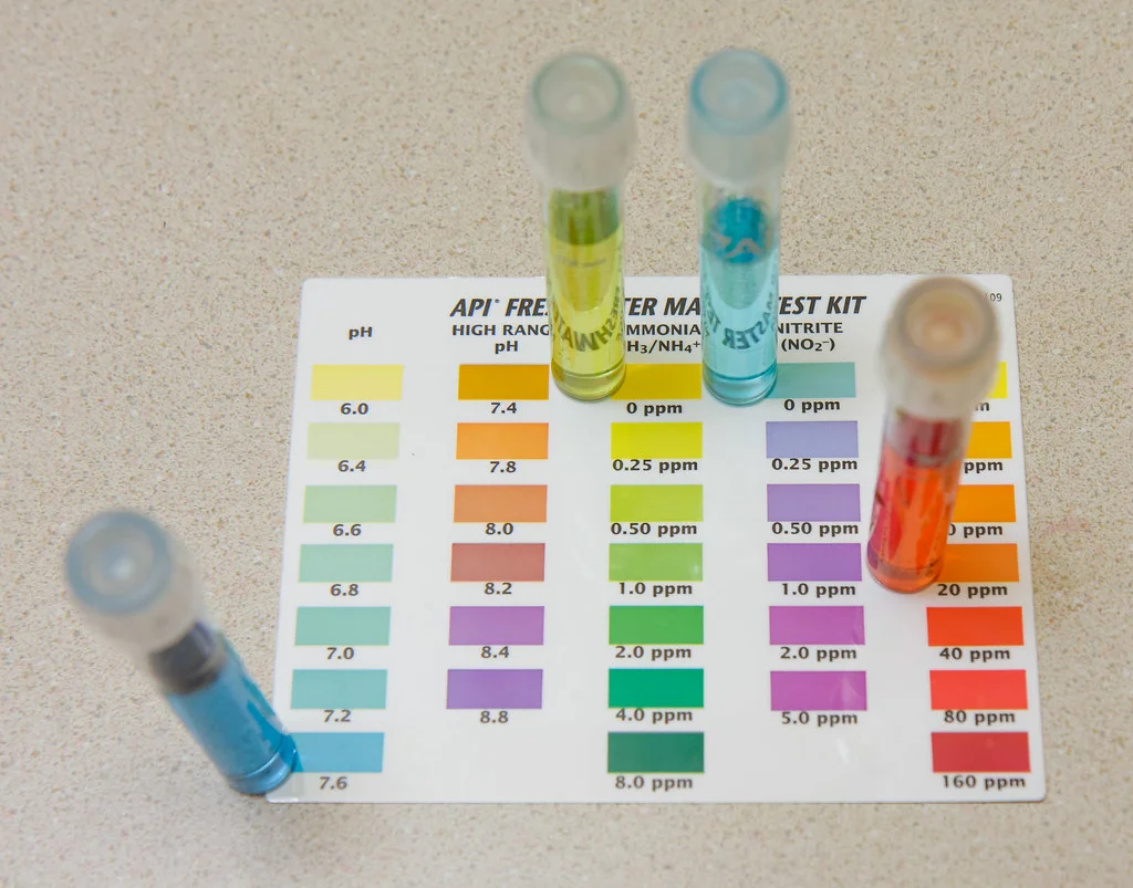 test API Test Kit In Use